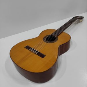 Aria AC25